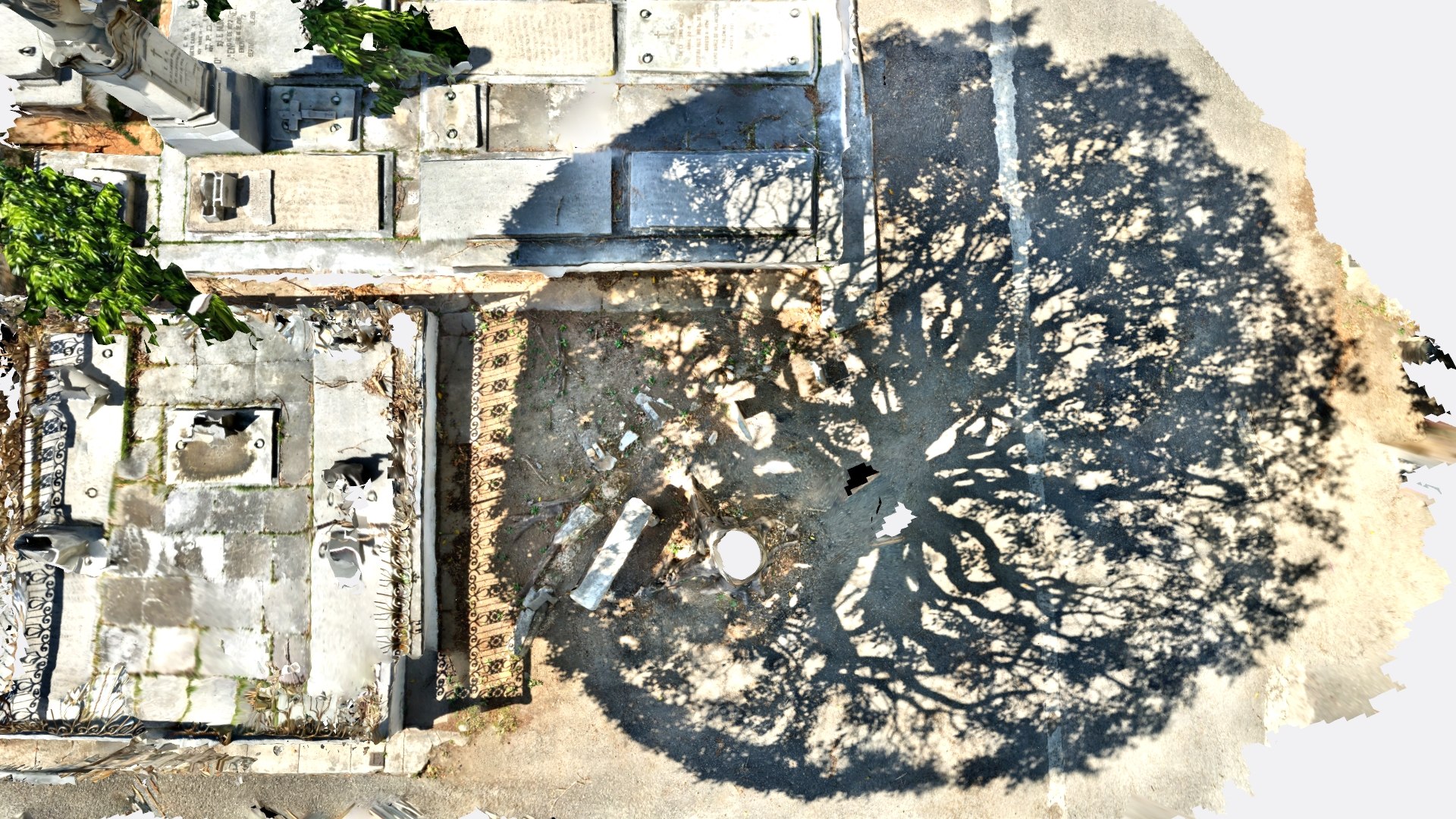 Tree Shadow 3D Model - TurboSquid 1969043
