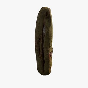 Anydrafts Cinnamomum burmannii Burl 06