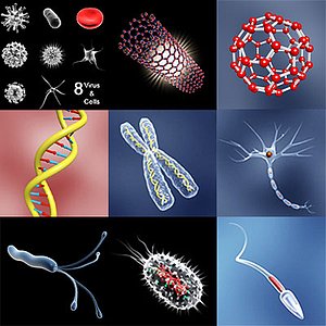 Micro cell collection