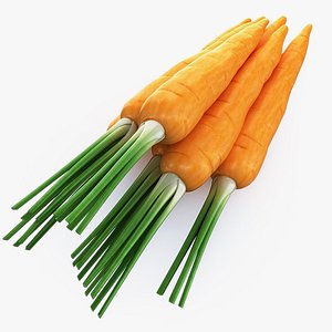 3d model carrot use