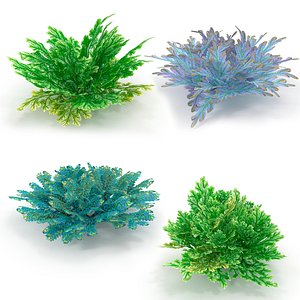 3D Selaginella SET model