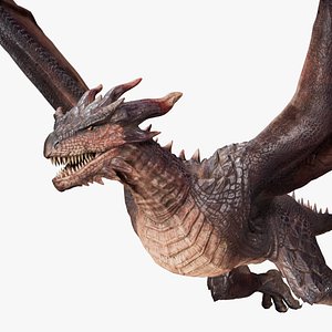 Wyvern Dragon Animated model