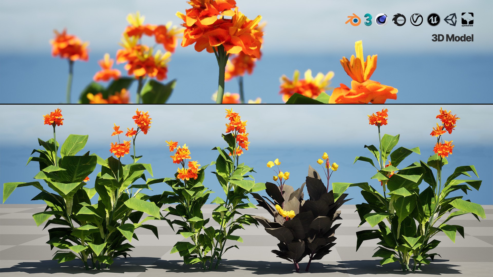 Tropical Canna Lily Plant 3D 3D model https://p.turbosquid.com/ts-thumb/jh/rdM385/79/01artcover00/jpg/1728679573/1920x1080/fit_q87/416254cd9d092887e487d23364bdf6189c31b492/01artcover00.jpg