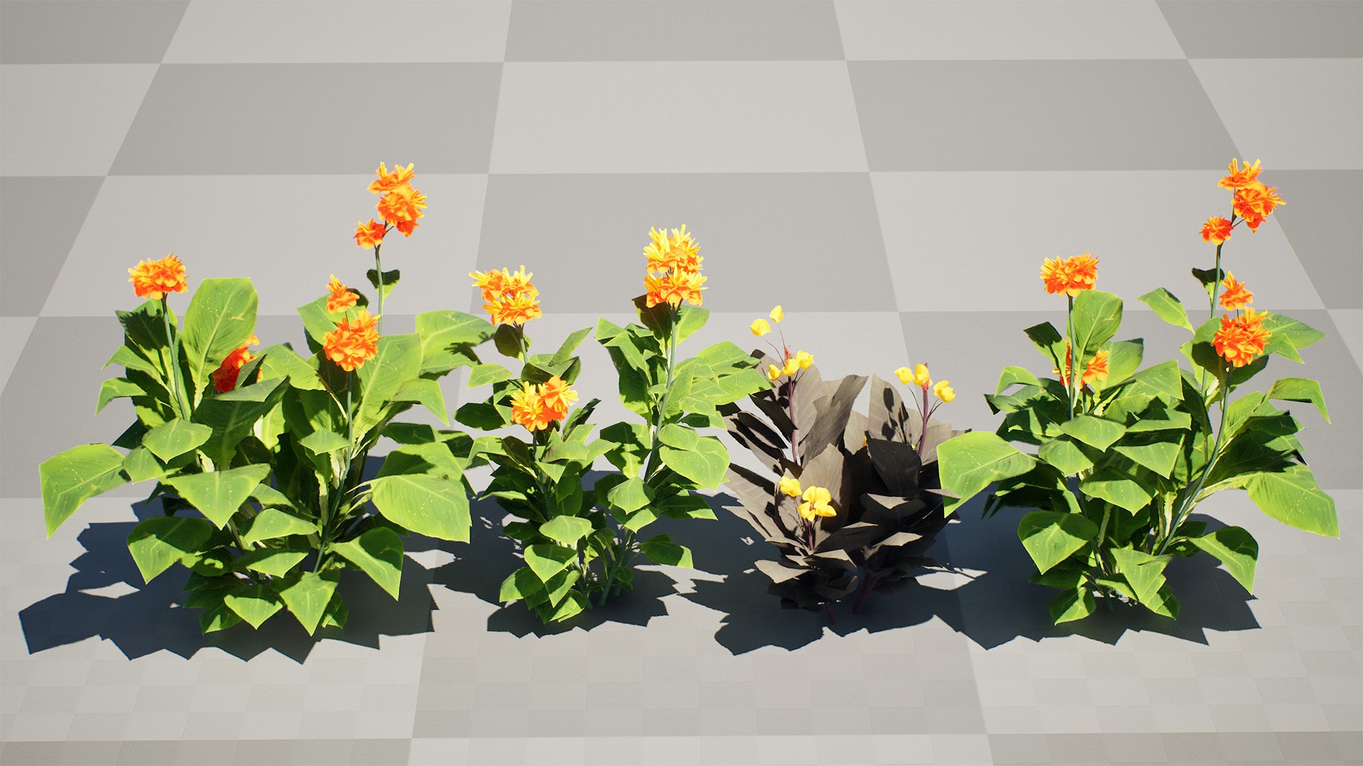 Tropical Canna Lily Plant 3D 3D model https://p.turbosquid.com/ts-thumb/jh/rdM385/7W/highresscreenshot00000/jpg/1728679582/1920x1080/fit_q87/713926abd9dc3c699d698f7be6e447aef2d4c84f/highresscreenshot00000.jpg