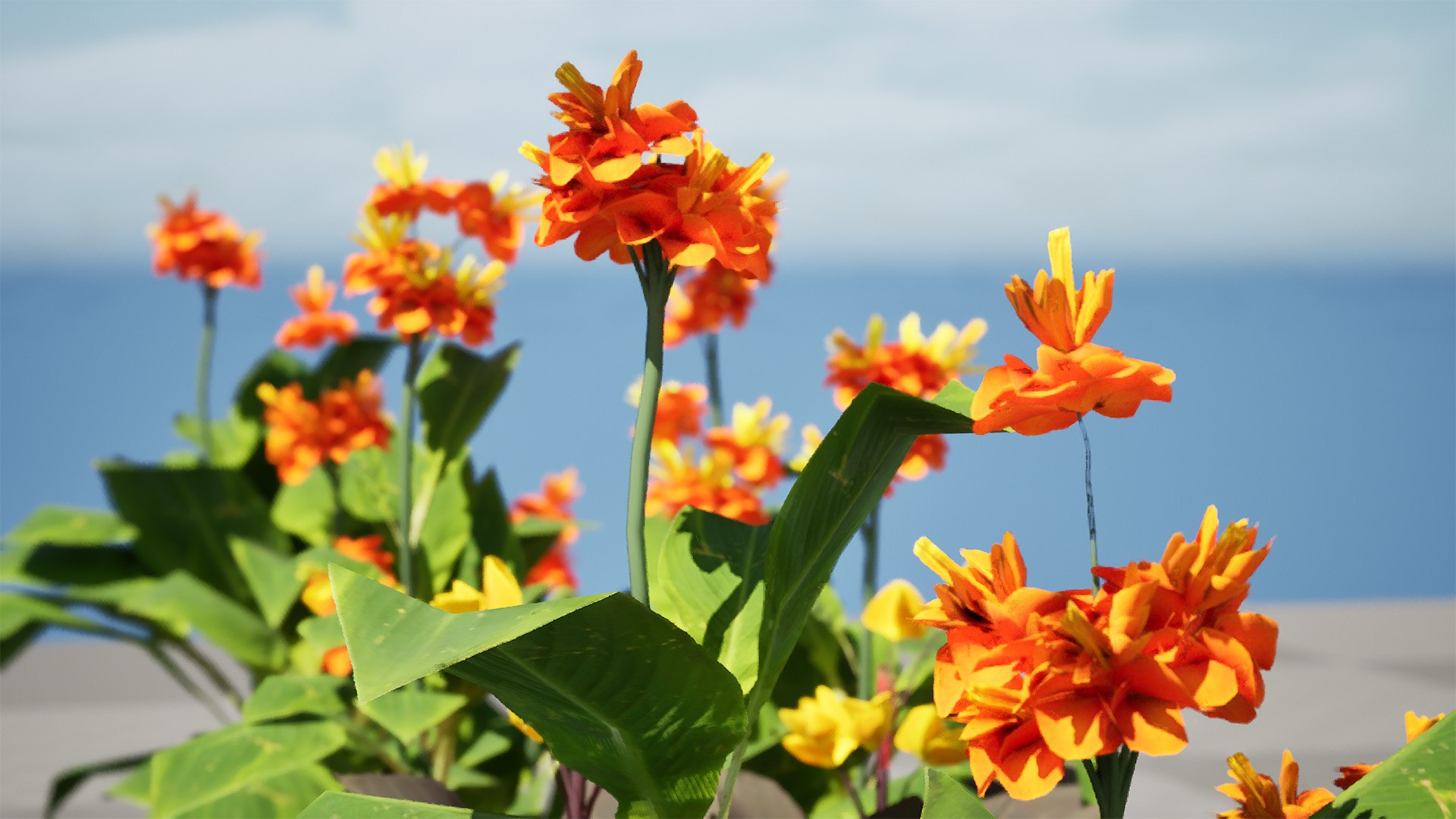 Tropical Canna Lily Plant 3D 3D model https://p.turbosquid.com/ts-thumb/jh/rdM385/US/highresscreenshot00002/jpg/1728679585/1920x1080/fit_q87/de71926f3acfe3cae5d1fd2e9fff9d44b74b1986/highresscreenshot00002.jpg
