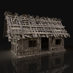 simple wooden swamp hut 3D