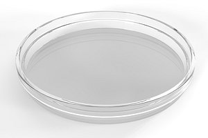 Petri Dish PBR model
