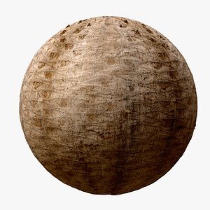 Jubaea palm PBR tiled texture 8K 3D
