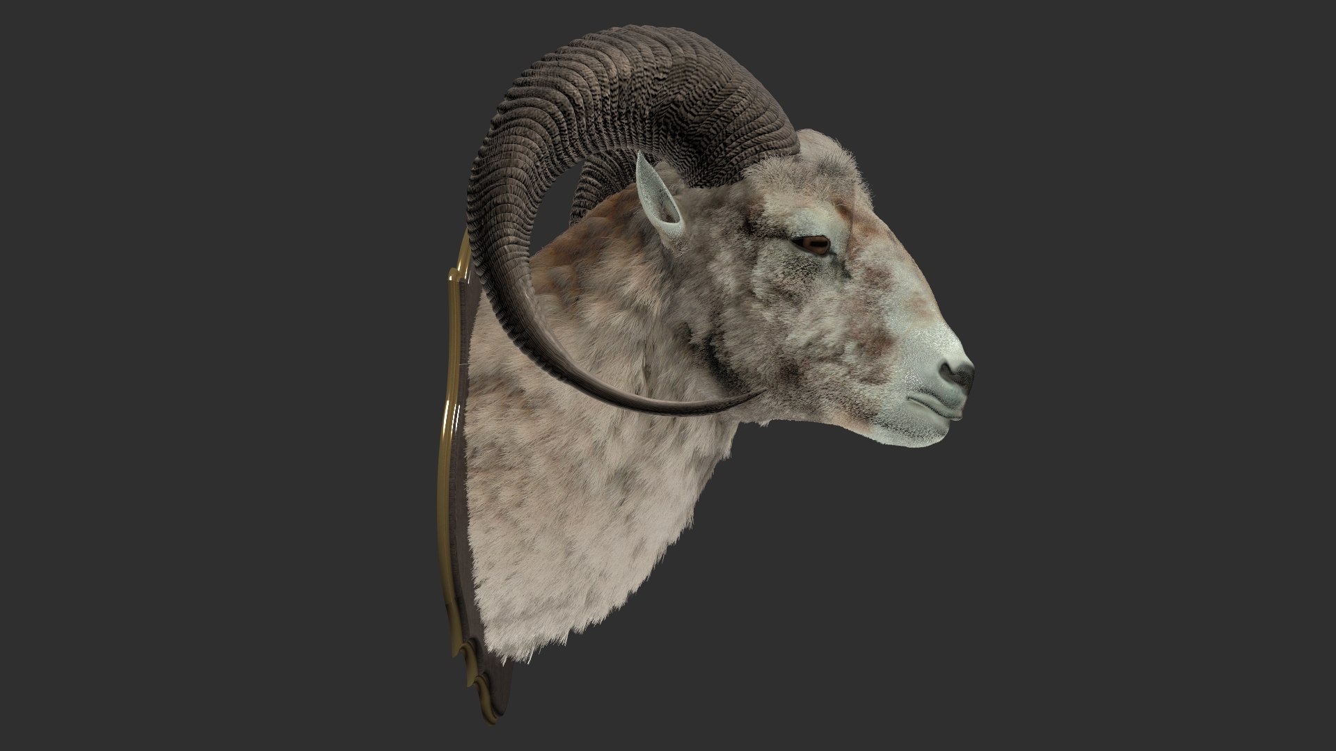 3D model Sheep's Head and Deer's Head Bundle https://p.turbosquid.com/ts-thumb/ji/8DxKkH/Ii/1/jpg/1789524458/1920x1080/fit_q87/6f4c10b9c6c9c2e5d9eb02723b059d36e3dcb725/1.jpg