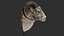 Sheep's Head and Deer's Head Bundle