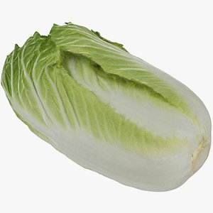 chinese cabbage 3D model