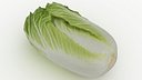 Chinese Cabbage