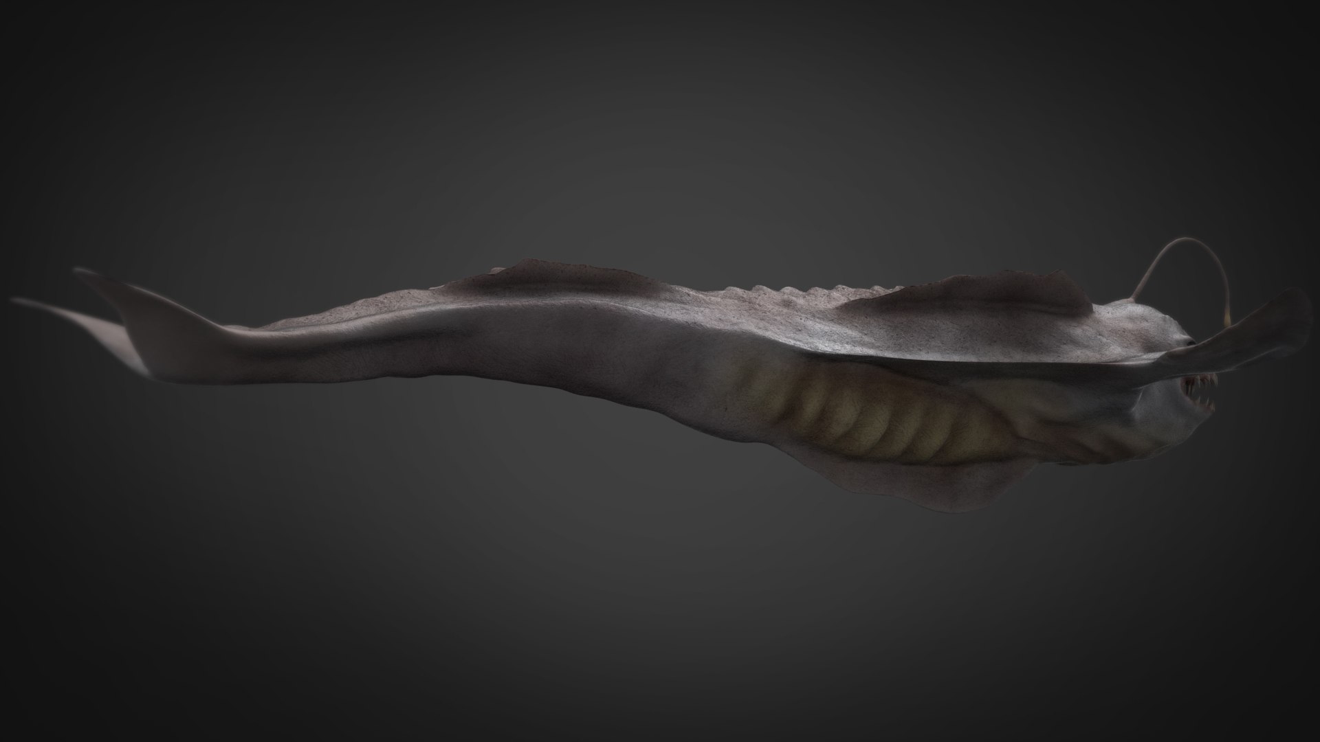 3D leviathan sea monster model https://p.turbosquid.com/ts-thumb/ji/8JsSpC/Pa/s3/jpg/1604757382/1920x1080/fit_q87/b2fd3eac31f75d71f8c165be1125c6f44db82d8b/s3.jpg