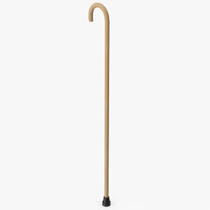 Wooden Walking Stick 3D model