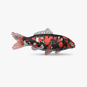 koi fish 3D model