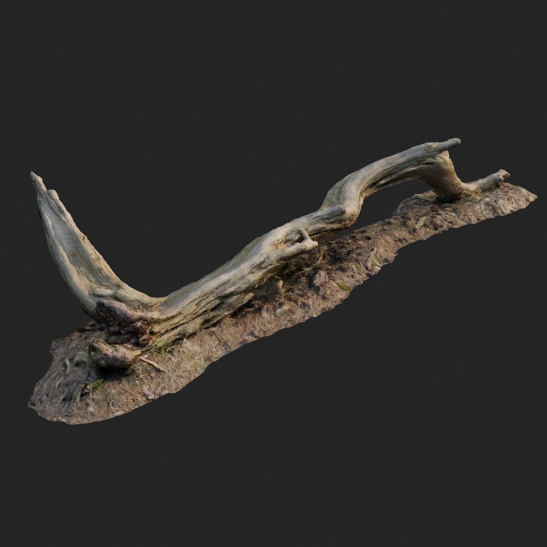 scanned nature forest roots 3D model https://p.turbosquid.com/ts-thumb/ji/EIL2lv/lpbz9r32/nature_forest_roots_009_render_002/jpg/1502649537/1920x1080/fit_q87/198762f391ba6dad4f05428ee3c01f8a1c7713d0/nature_forest_roots_009_render_002.jpg