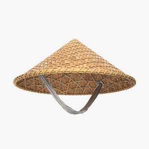 Asian bamboo hat 3D model