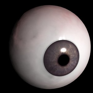 3d model eye