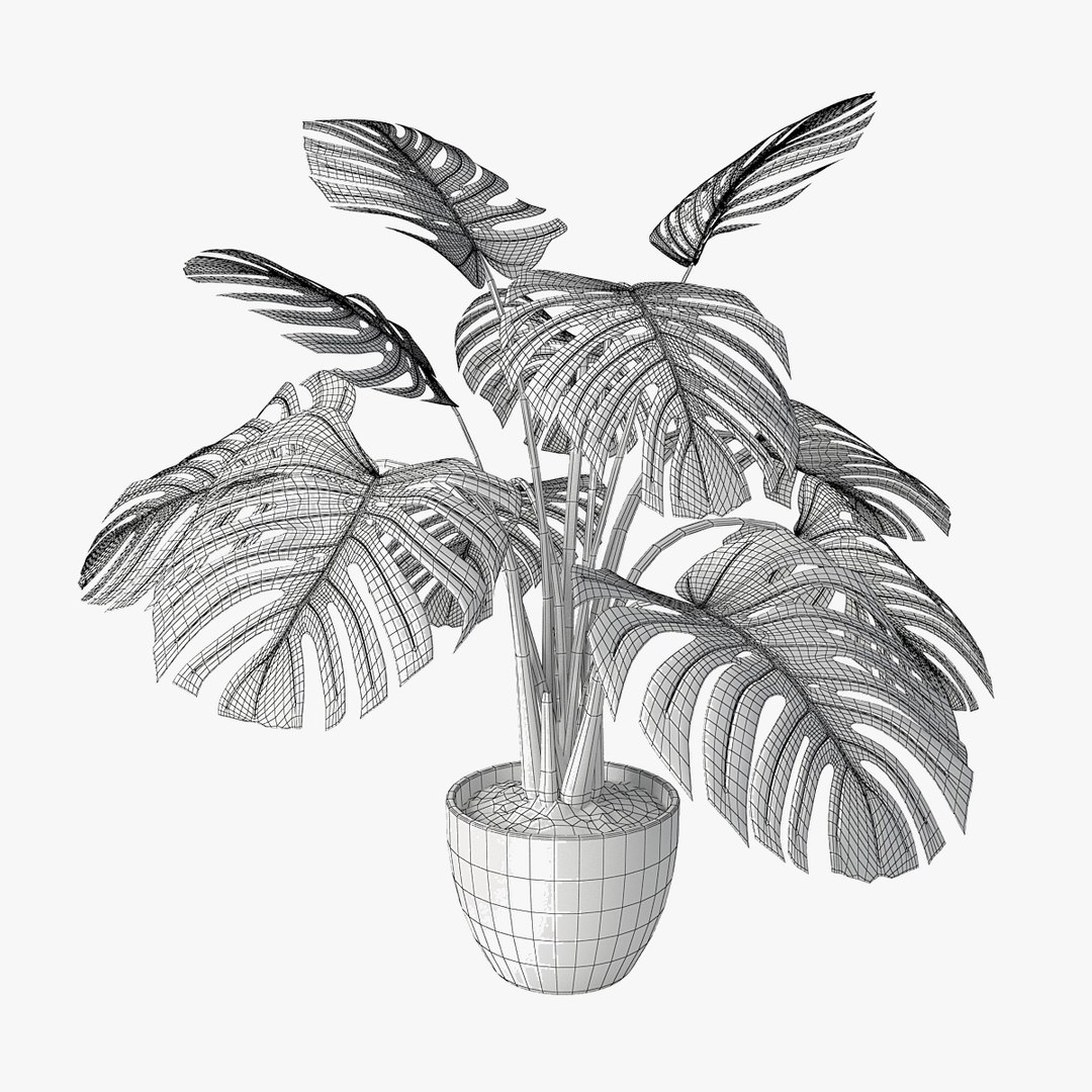 monstera pot 3D https://p.turbosquid.com/ts-thumb/ji/Zv9tIR/D4Yx3CaF/pr03w/jpg/1492261587/1920x1080/fit_q87/d8474e17322c27f03569d823d1500f3d2c863a93/pr03w.jpg