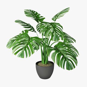 monstera pot 3D