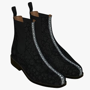Stingray Leather Boots(1) 3D