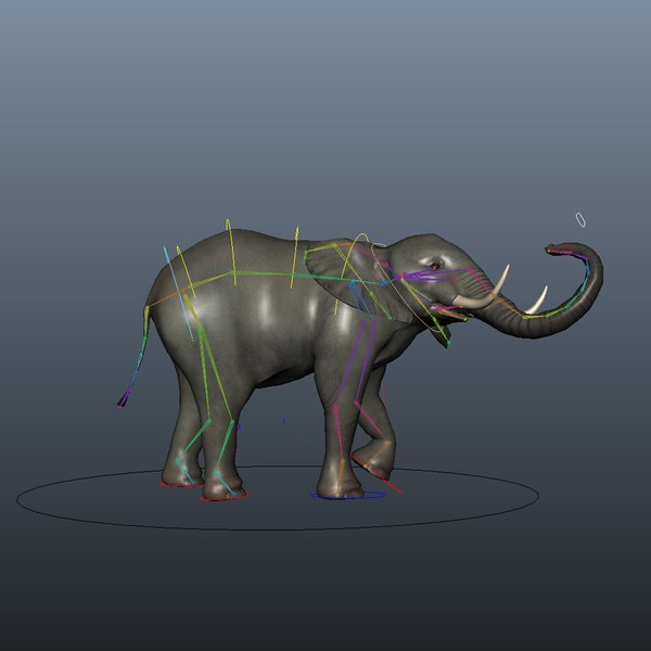 elephant rigged 3d fbx