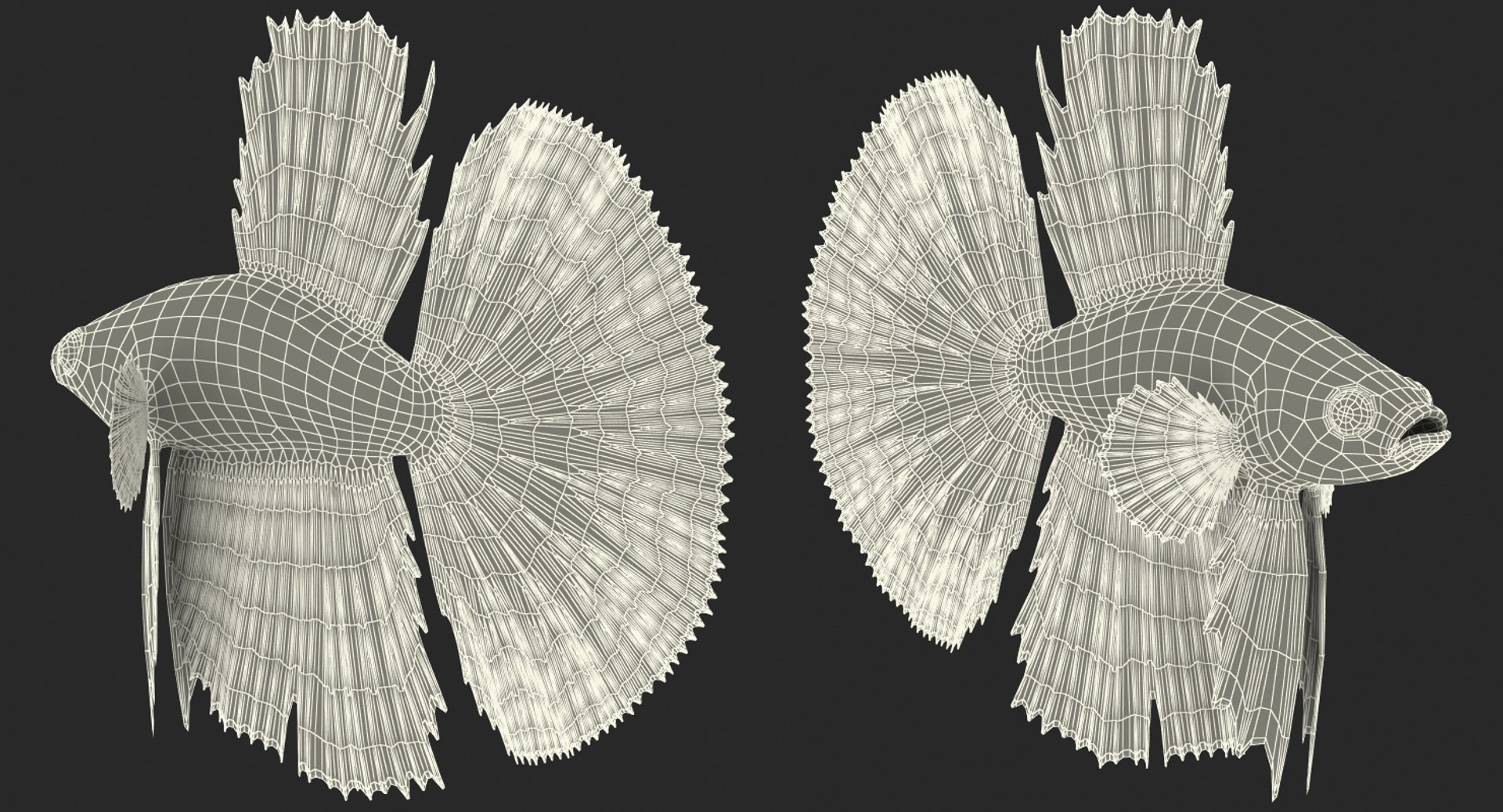 blue betta fish rigged 3D model https://p.turbosquid.com/ts-thumb/jj/9rSzcW/0lgvJI45/bluebettafishriggedc4dmodel019/jpg/1515339094/1920x1080/fit_q87/6ddadaa700708da7a83e1392337a3a09049aae8b/bluebettafishriggedc4dmodel019.jpg