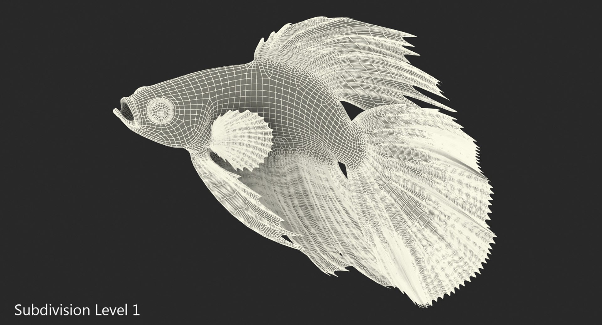 blue betta fish rigged 3D model https://p.turbosquid.com/ts-thumb/jj/9rSzcW/40RJsihw/bluebettafishriggedc4dmodel014/jpg/1515339094/1920x1080/fit_q87/46a52b3213be121915098e8adb1f9cce71df63b9/bluebettafishriggedc4dmodel014.jpg