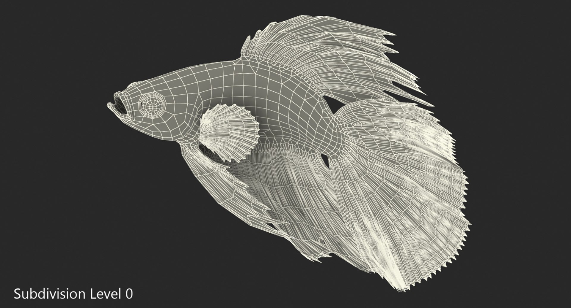 blue betta fish rigged 3D model https://p.turbosquid.com/ts-thumb/jj/9rSzcW/SZP1E25k/bluebettafishriggedc4dmodel013/jpg/1515339094/1920x1080/fit_q87/777895e3e969b086a22620111db2f8d54f13274b/bluebettafishriggedc4dmodel013.jpg