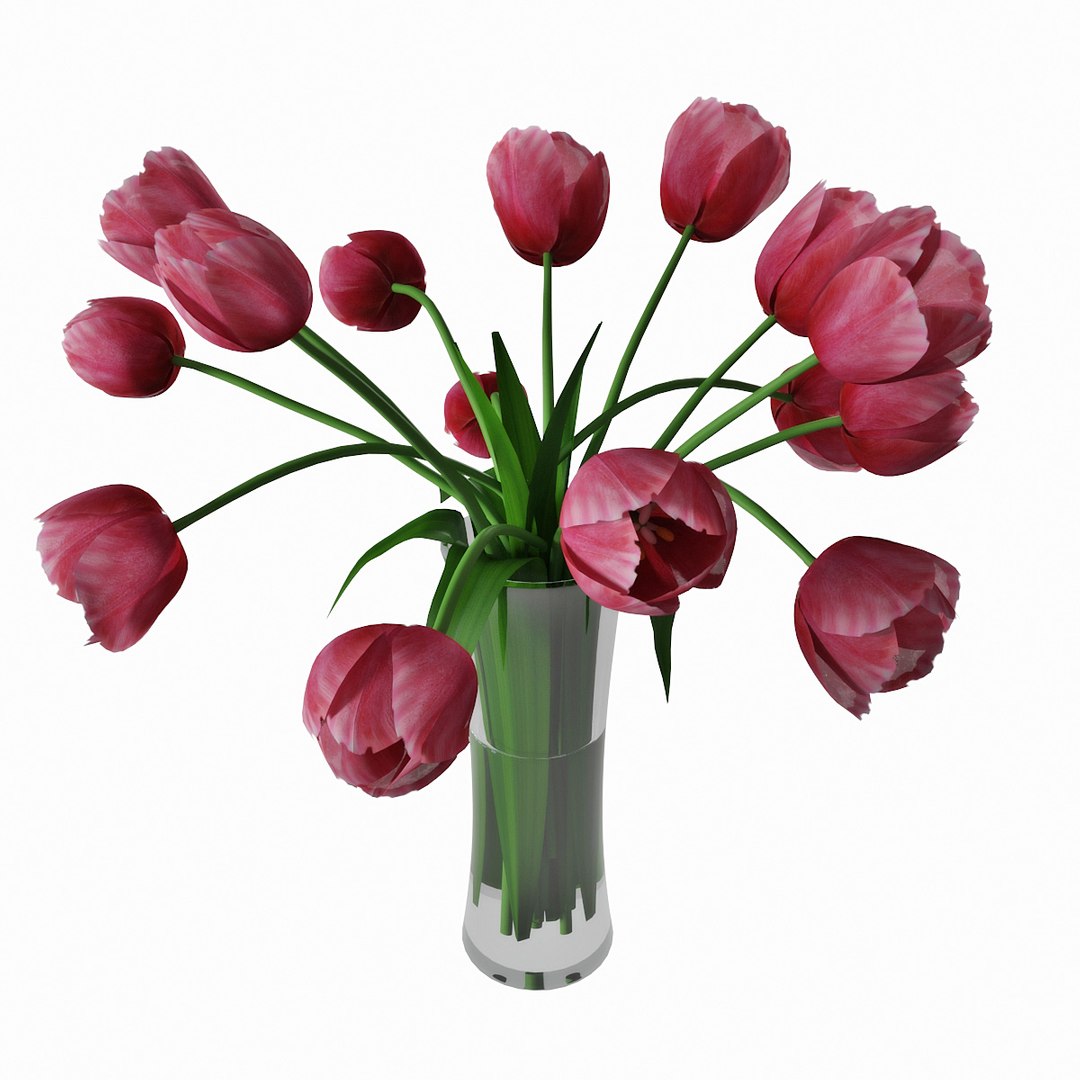 3D tulips - TurboSquid 1315396