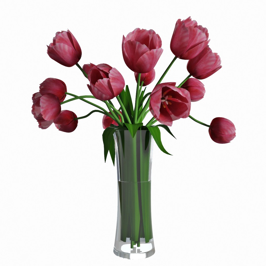 3D tulips - TurboSquid 1315396