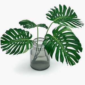 monstera leaves 3d model