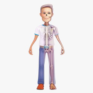 Cartoon Human Skeleton and Male Character model