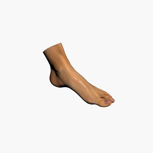 3D Human Leg Scan