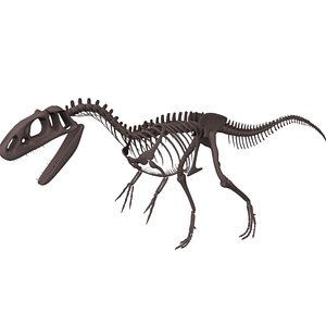 Allosaurus