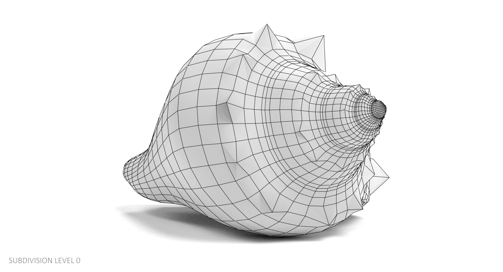 Seashell Pbr 3D - TurboSquid 1254641