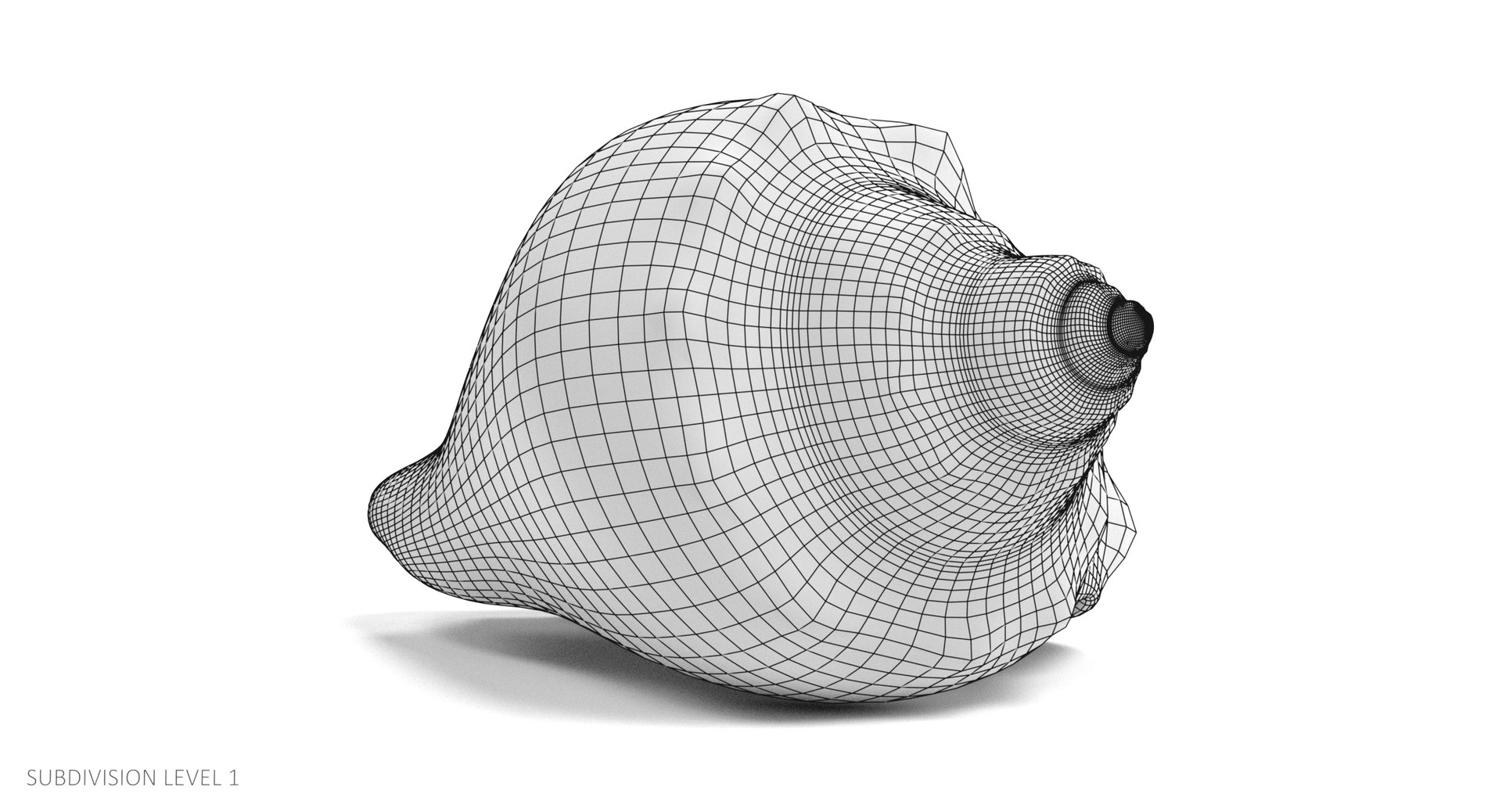 Seashell Pbr 3D - TurboSquid 1254641