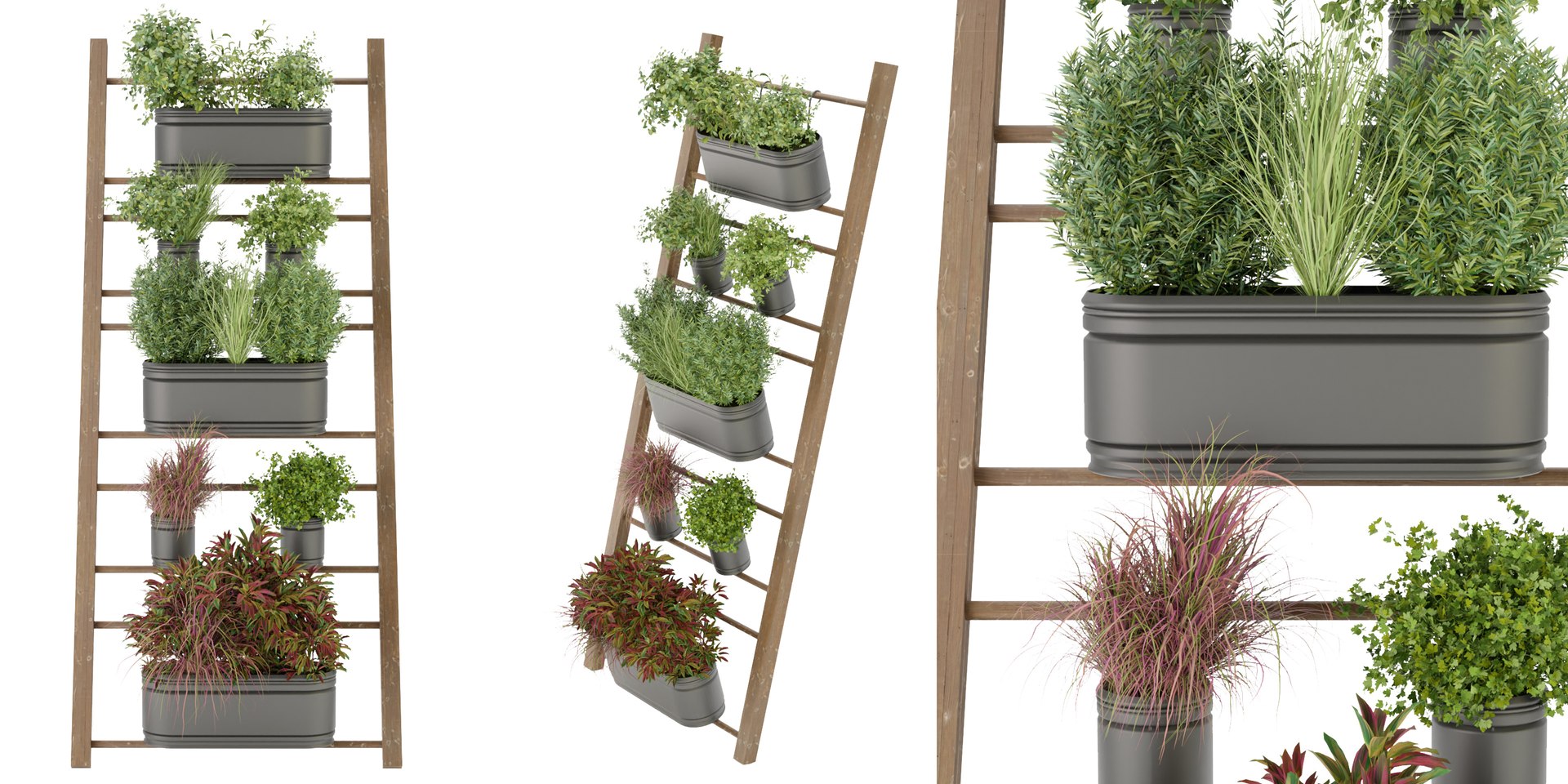 3D Collection plant vol 250 - blender model model - TurboSquid 2088264