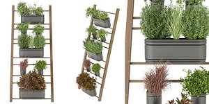 3D Collection plant vol 250 - blender model model