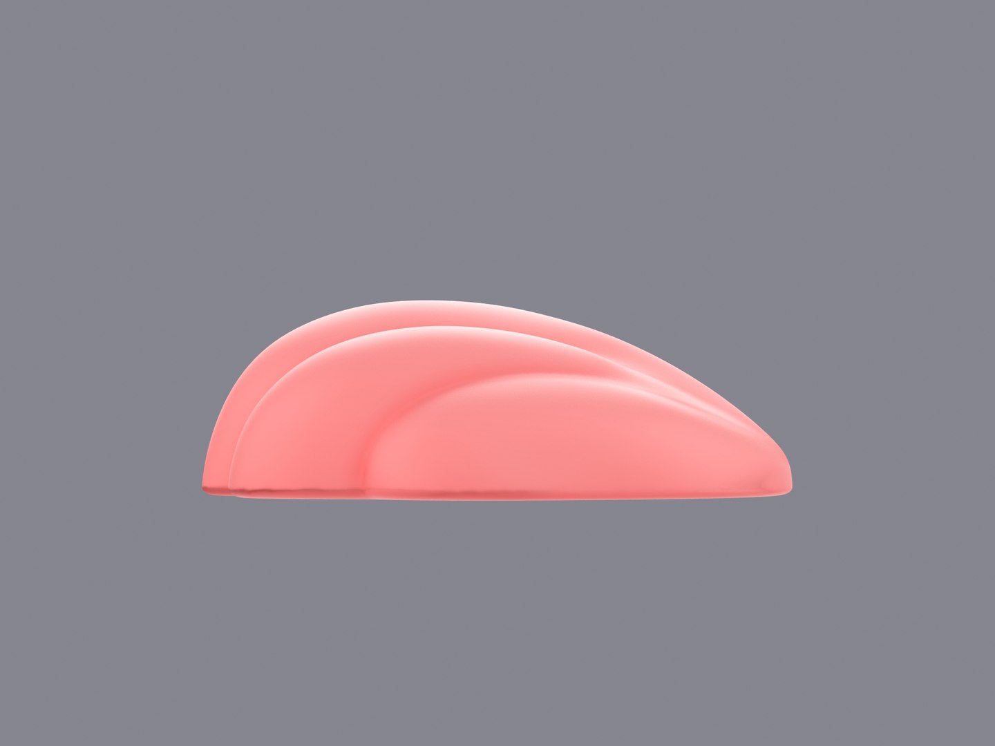 3D Sea Shell model https://p.turbosquid.com/ts-thumb/jk/aZwcOz/Rk/rend_0003/jpg/1623313152/1920x1080/fit_q87/779b278eef85655e18bda4a6ba0f5e4241421665/rend_0003.jpg