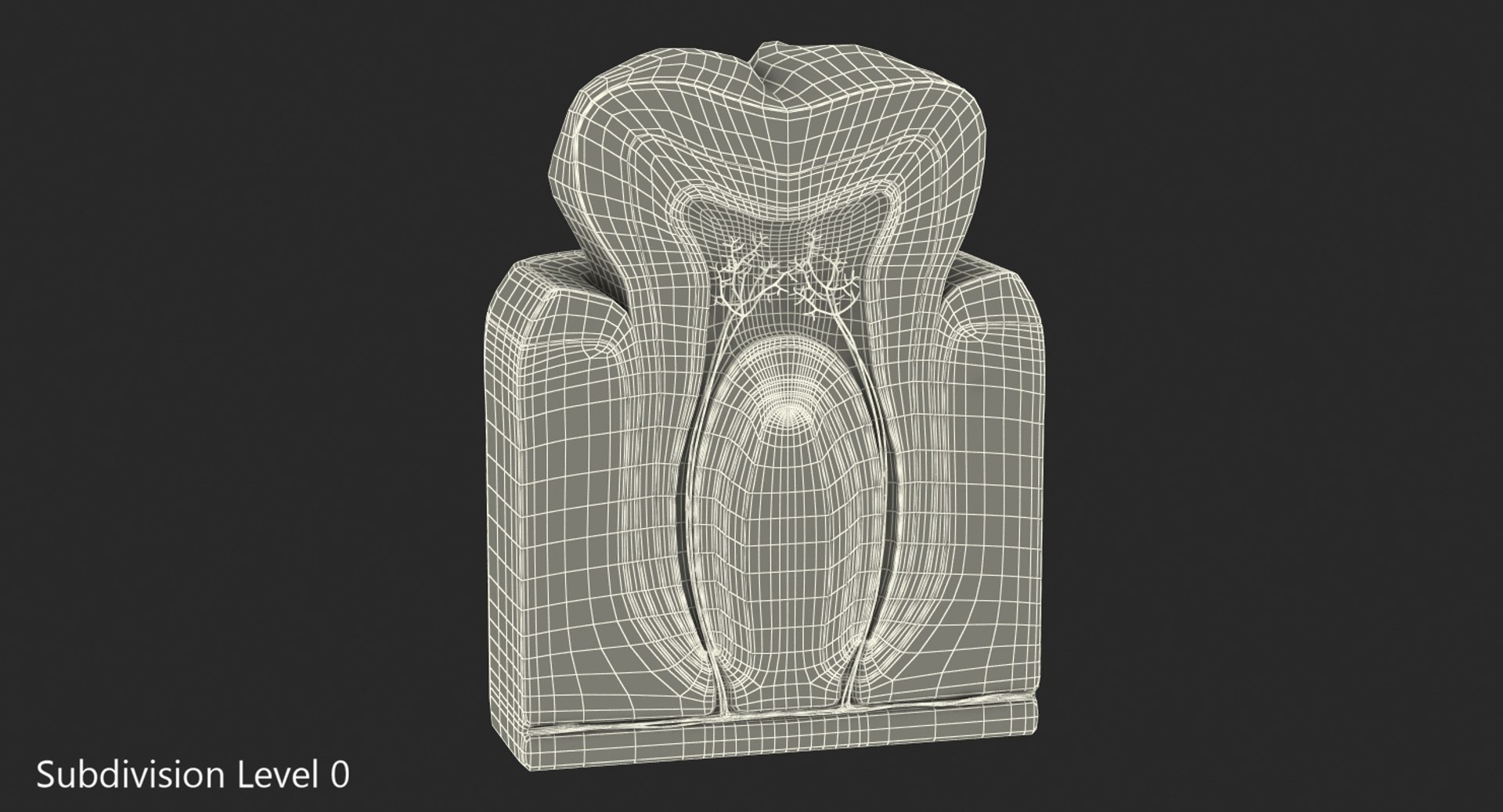 human tooth anatomy model https://p.turbosquid.com/ts-thumb/jk/f4kZCf/u5pMsn5R/humantoothanatomy3dsmodel007/jpg/1512230712/1920x1080/fit_q87/3ae06b833c8a9ac5647664a52bdbf4a7c6e7492d/humantoothanatomy3dsmodel007.jpg