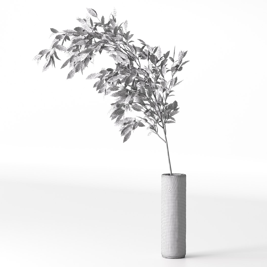 Plants Bouquet 08 model https://p.turbosquid.com/ts-thumb/jk/iHuSgy/a3/04/jpg/1740202972/1920x1080/fit_q87/11ead24e5e3250aa6ad15b383a3697326c4c2020/04.jpg