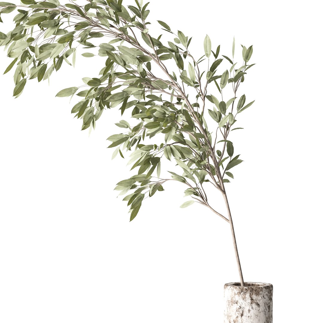Plants Bouquet 08 model https://p.turbosquid.com/ts-thumb/jk/iHuSgy/i8/03/jpg/1740202968/1920x1080/fit_q87/0be0064b6e33b7636a7e366252a41edb2ee7e52f/03.jpg