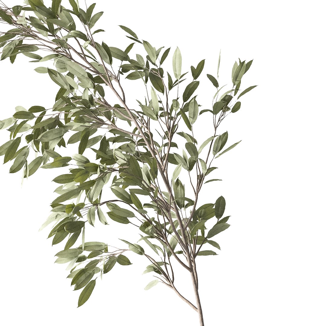 Plants Bouquet 08 model https://p.turbosquid.com/ts-thumb/jk/iHuSgy/j9/05/jpg/1740202971/1920x1080/fit_q87/aee46c5fc17e4bba68661eb00d8fa707049d2766/05.jpg