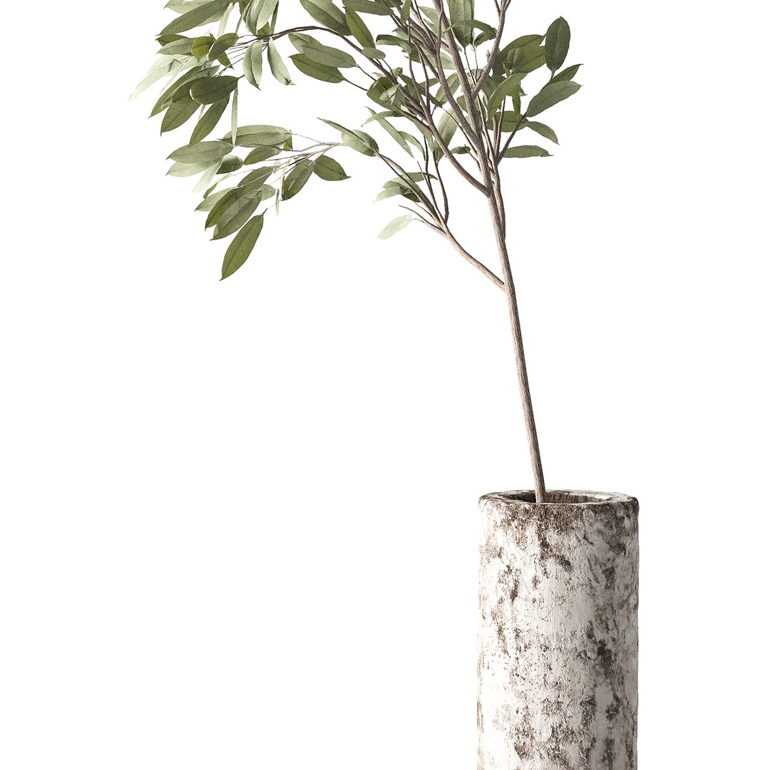 Plants Bouquet 08 model https://p.turbosquid.com/ts-thumb/jk/iHuSgy/y1/06/jpg/1740202971/1920x1080/fit_q87/a7eac1251aae647935fd14fe30e7da8ded5f9e21/06.jpg