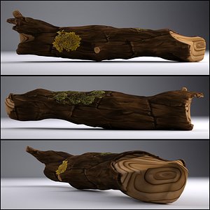 Tree Trunk - Game Asset