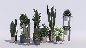 3D green plants20220121
