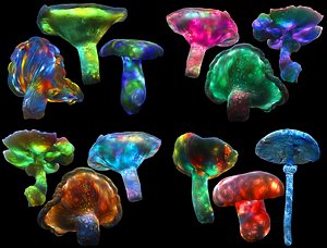 Pandora Mushroom Animated Pack