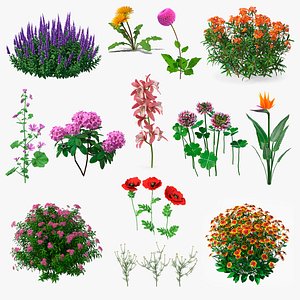 Flowering Plants Collection 9 3D model