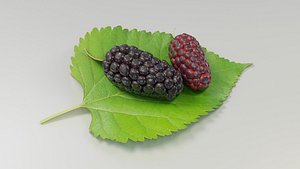 3D mulberry berry